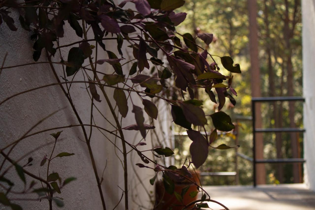Encino House Villa Valle de Bravo Buitenkant foto